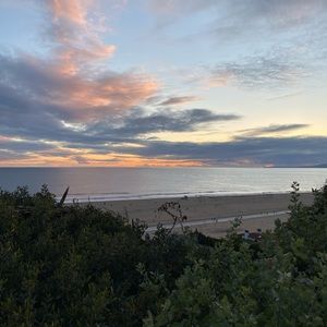 Meet your Posher, Daliah